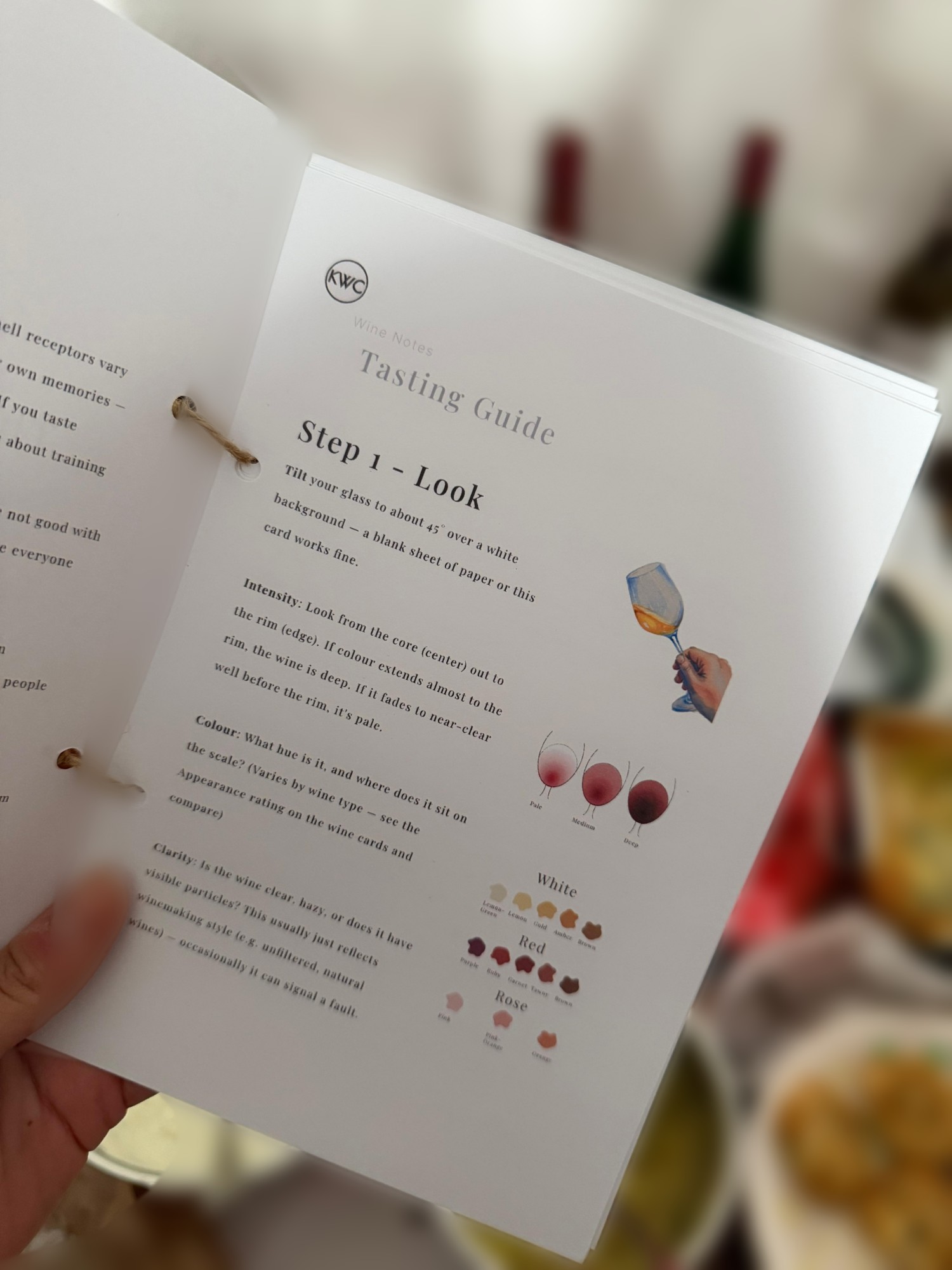 A Kennedy Wine Collective tasting guide card, walking through how to look at a glass of wine